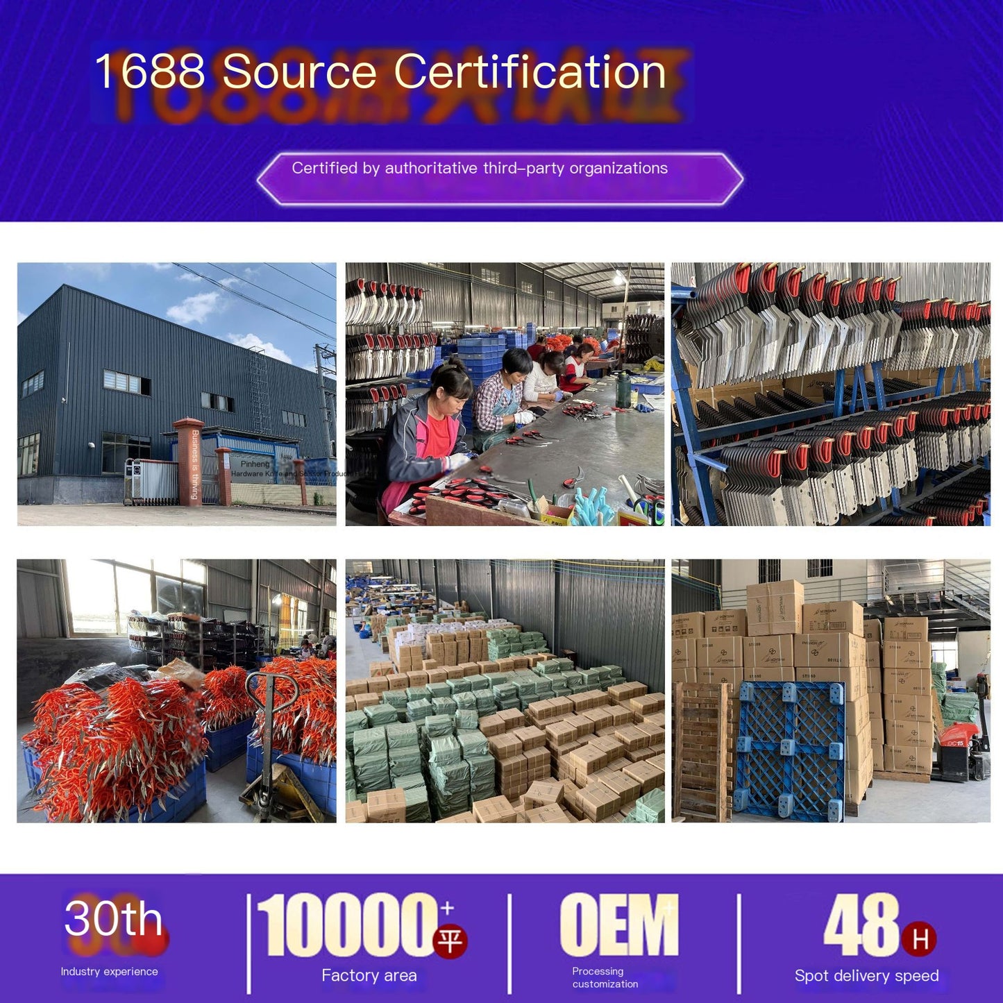 Eyebrow Scissors with Comb for Beginners and Makeup